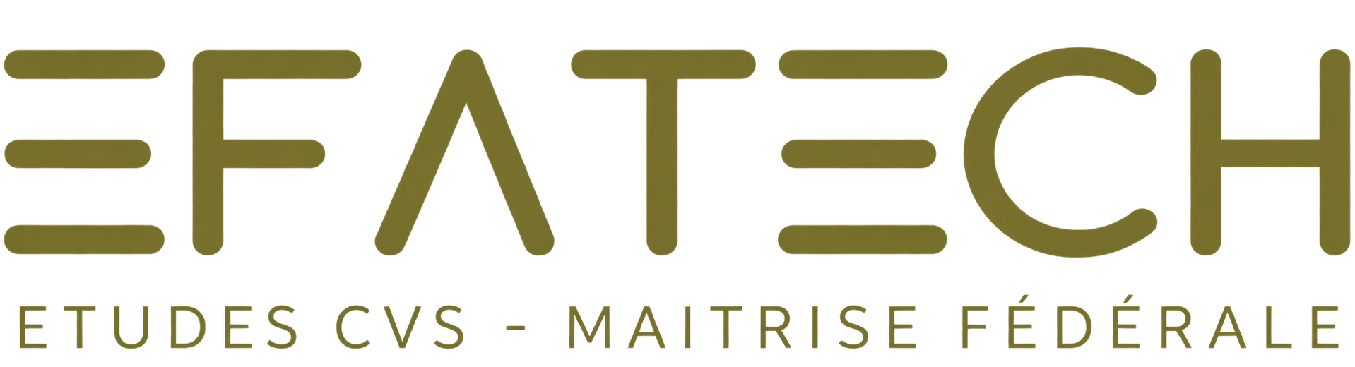 EFATECH — Études CVS, maîtrise fédérale